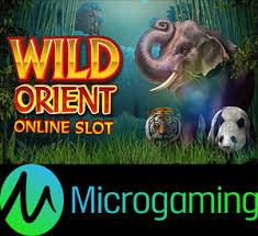 WIld Orient microgaming
