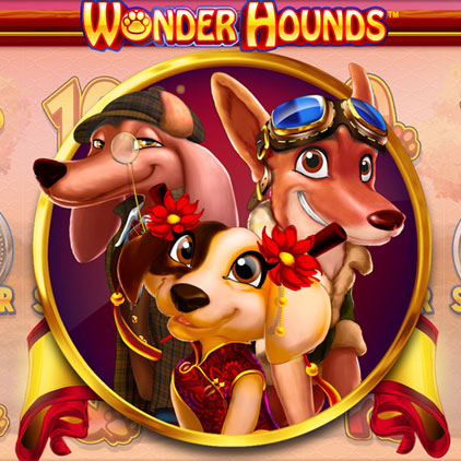 Wonder Hounds