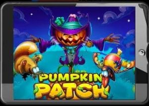 Pumpkin Patch Video Slot