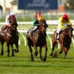 australian horse racing betting schedule 2020