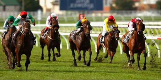 australian horse racing betting schedule 2020