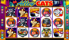 alley cats latest microgaming pokie